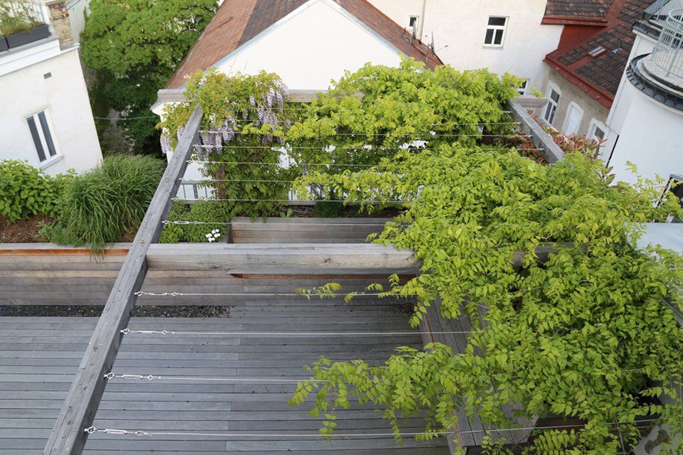 Dachgarten