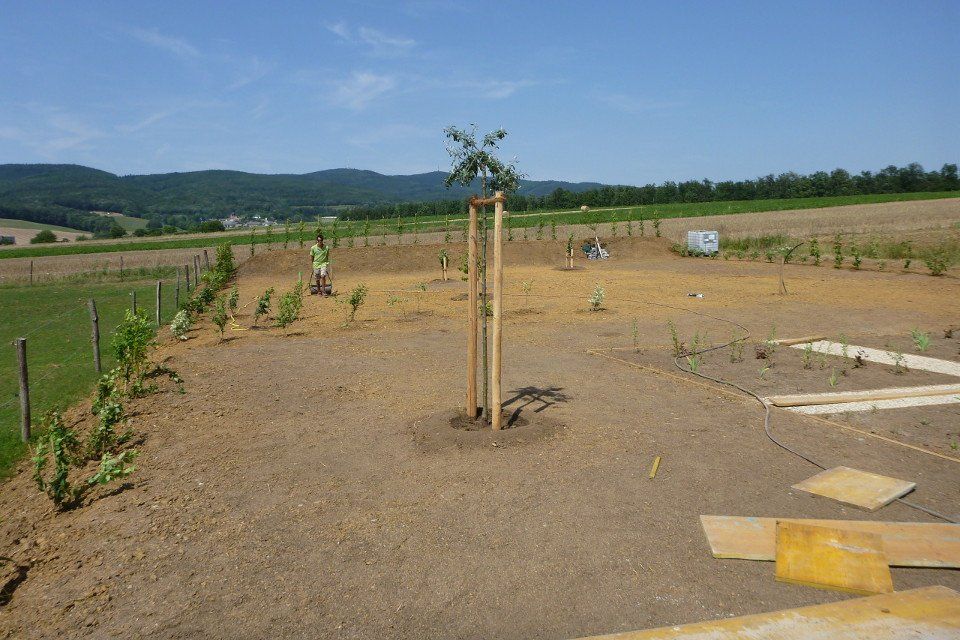 Gartengestaltung