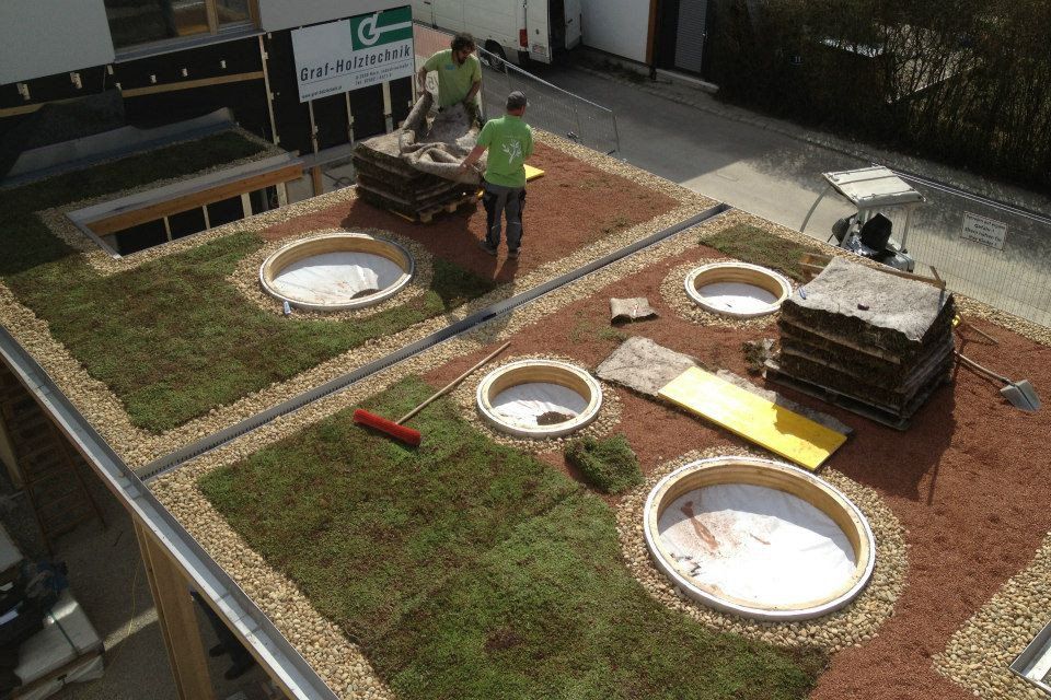 Gartengestaltung