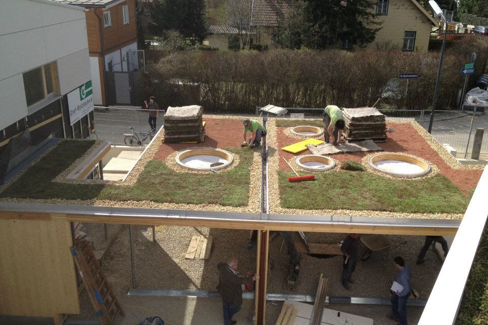 Gartengestaltung