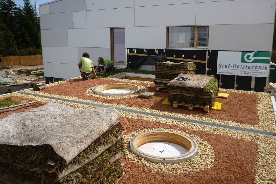 Gartengestaltung