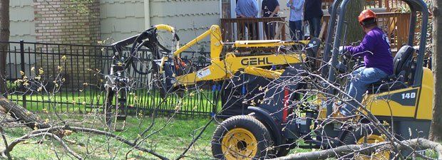 Person Using Machine For Tree Removal — Middlesex County, NJ — Mickiewicz Arbor Experts, LLC Person Using Machine For Tree Removal — Middlesex County, NJ — Mickiewicz Arbor Experts, LLC