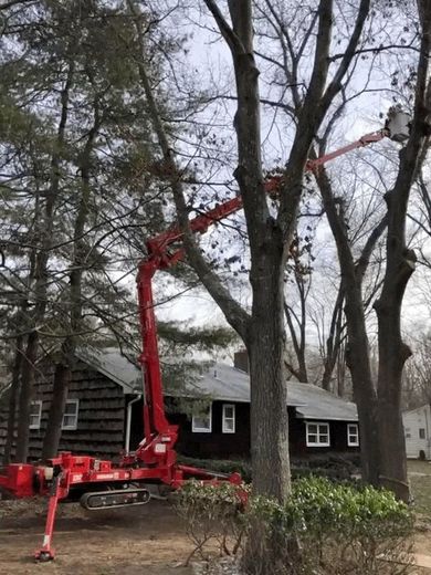 Lifting Machine And Trees — Middlesex County, NJ — Mickiewicz Arbor Experts, LLC Lifting Machine And Trees — Middlesex County, NJ — Mickiewicz Arbor Experts, LLC