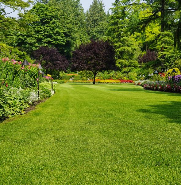 Beautiful Lawn — Middlesex County, NJ — Mickiewicz Arbor Experts, LLC Beautiful Lawn — Middlesex County, NJ — Mickiewicz Arbor Experts, LLC