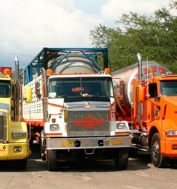 TRANSANDINA DE TANQUES LTDA - Transporte en DTAI