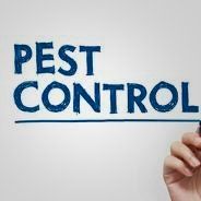 Pest Control