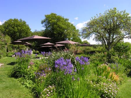The Star Inn Old Heathfield
