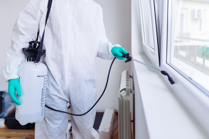 On-site pest service in San Marcos, TX