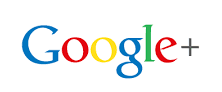 Google icon