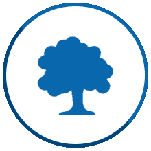Tree icon