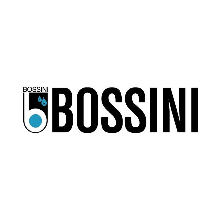 Logo Bossini