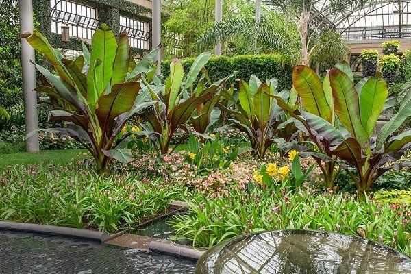 Longwood Garden's Drone video