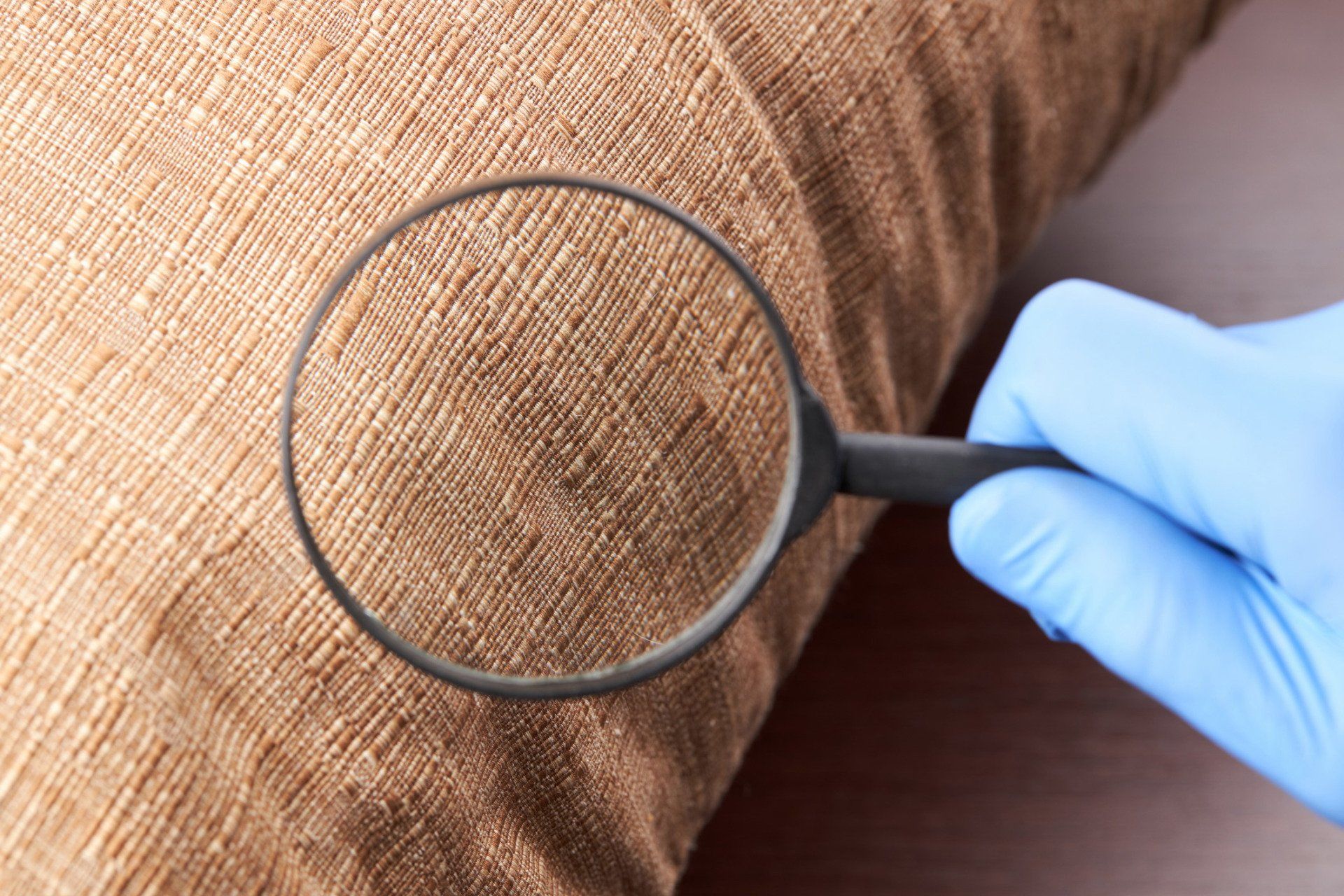 Person Detecting Pest or Insect on a Furniture Textile — New Philadelphia, OH — Bed Bug Burners