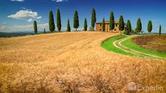 Touring Tuscany with Tamara