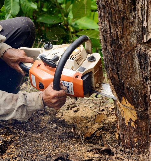 Tree Trimming — Man using a Chainsaw to Cut Tree in Cuyahoga Falls, OH Tree Trimming — Man using a Chainsaw to Cut Tree in Cuyahoga Falls, OH