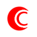 Company icon