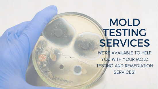 mold testing