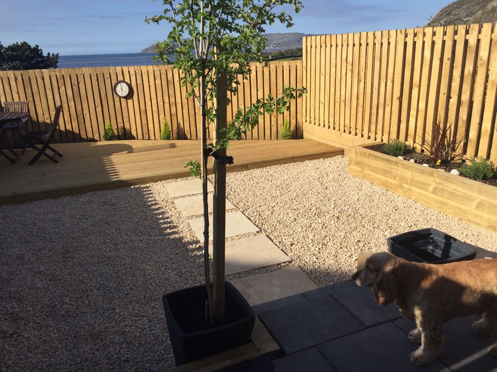 Transform your garden