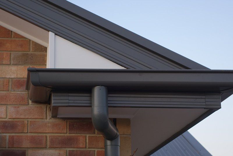 gutter filled with leaves