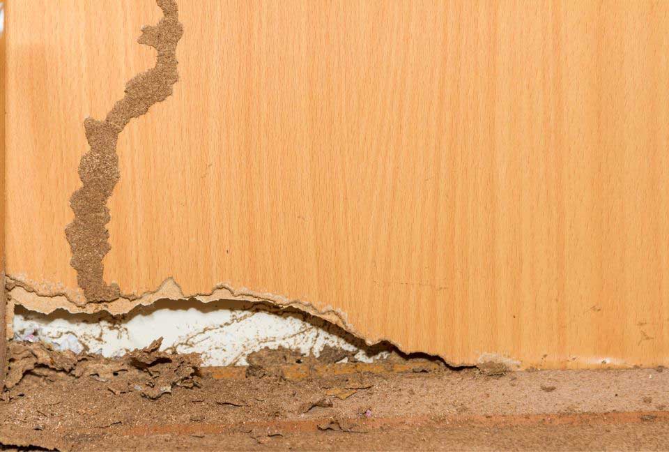 Structural Damage Repair — Bonilla Foundation Repair Structural Damage Repair — Bonilla Foundation Repair