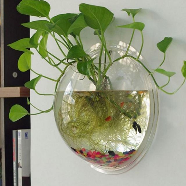 vaso a parete con pianta in idrocoltura