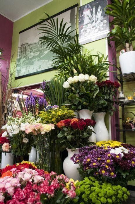 fiori recisi