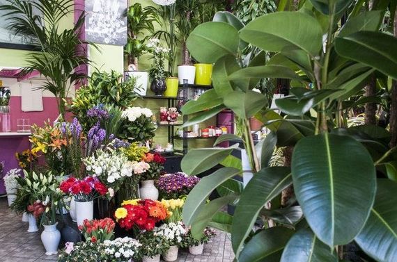 interno negozio di fiori