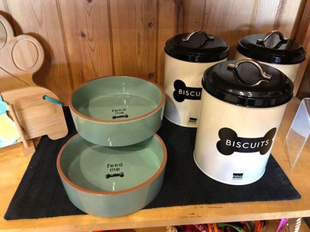 dogs bowl