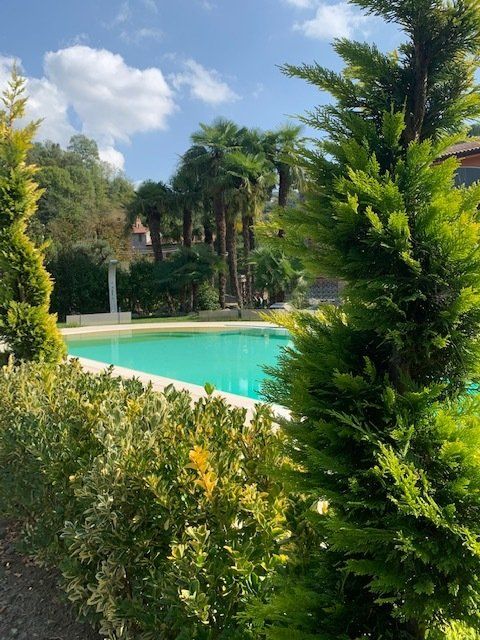 Veduta zona verde con piscina