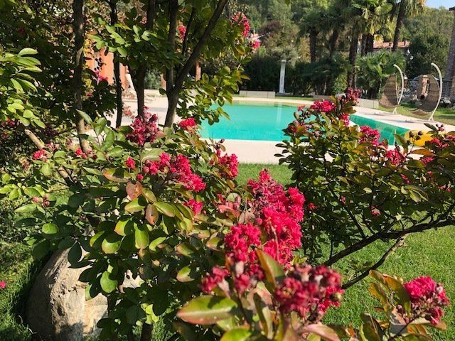 Progettazione giardino
