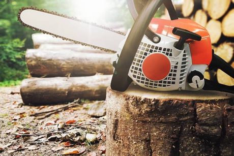 Chainsaw On The Trunk — Sarasota, FL — Native Tree Service