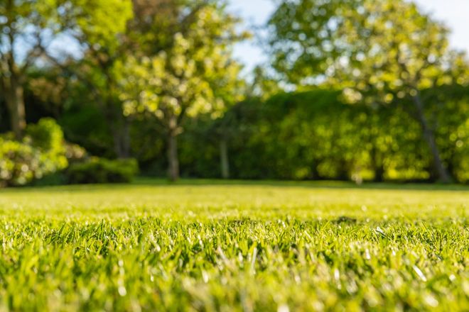 Lawn Care โ Grass Removing in Twin Falls, ID Lawn Care โ Grass Removing in Twin Falls, ID