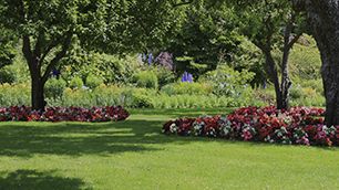 Landscaping and gardening