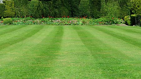 Lawn maintenance work