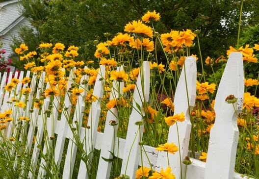 Wild flowers over white picket fence - Fence Contractor in Emerson, NJ
