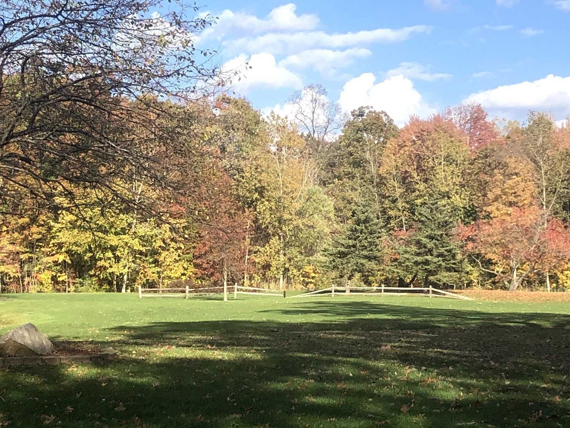 A field with trees in the background and a fence in the foreground.