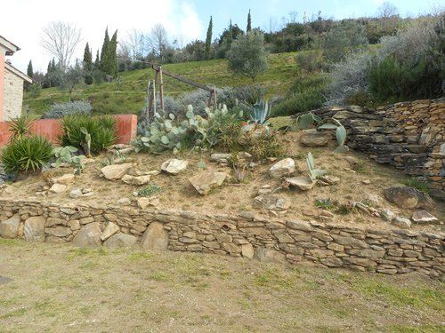 Un pendio paesaggistico con cactus, piante di agave e rocce sparse, delimitato da un muro a secco in un paesaggio collinare.