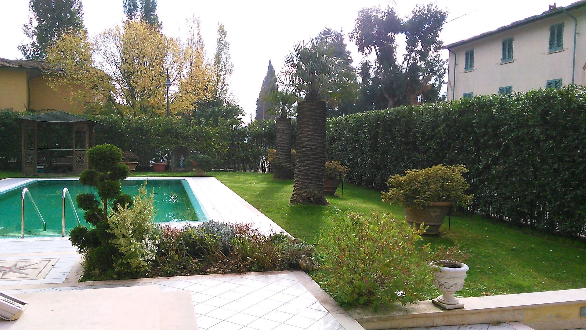 Una piscina rettangolare con acqua verde, circondata da un prato, siepi ben curate e alberi, accanto a un grande edificio.