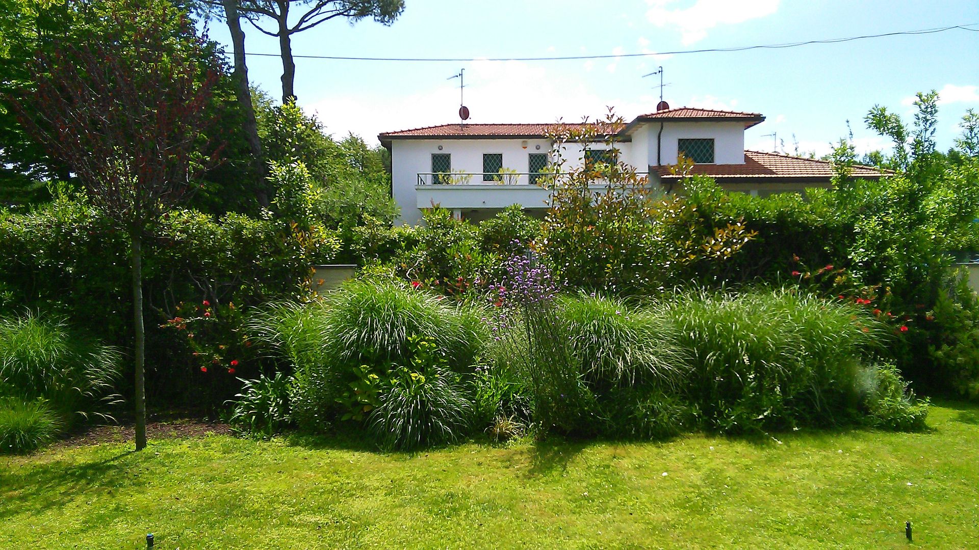 Un rigoglioso giardino verde con vari arbusti e alberi di fronte a una casa bianca a due piani con il tetto di tegole rosse.
