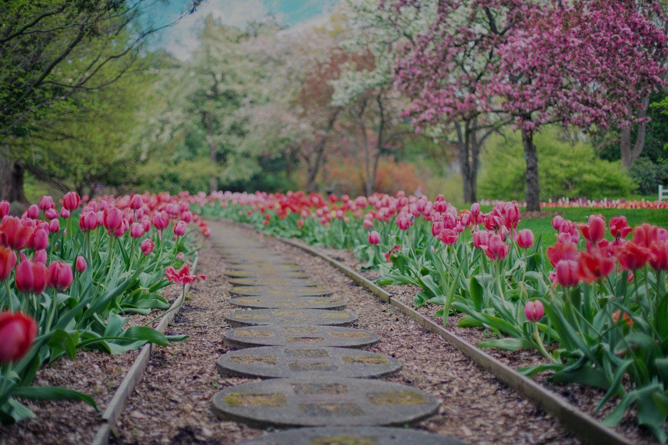 mulches for flower garden on the Gold Coast