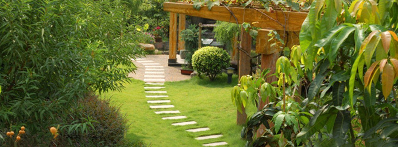 garden with beautiful landscapes