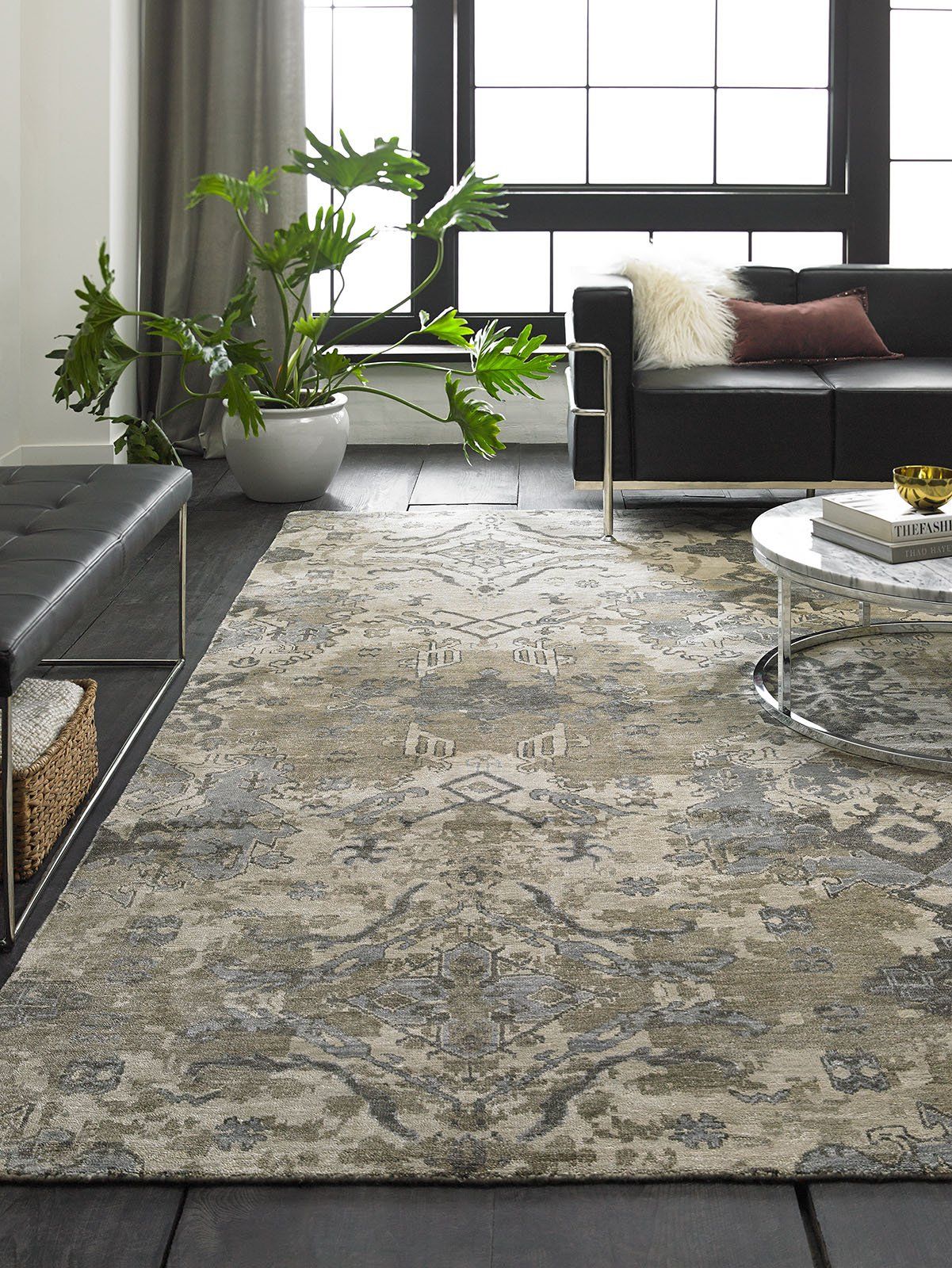 Modern living room with gray sofa, large potted plant, glass coffee table, and patterned area rug by a window.
