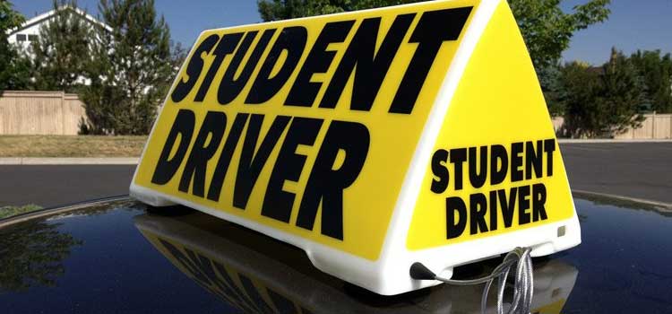 Student Driver Sign — Oklahoma City, OK — Freeman Collision Center Student Driver Sign — Oklahoma City, OK — Freeman Collision Center