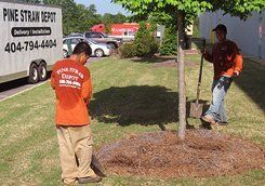 Trenching The Beds — Mableton, GA — Pine Straw Depot