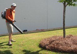Blowing Area Clean — Mableton, GA — Pine Straw Depot