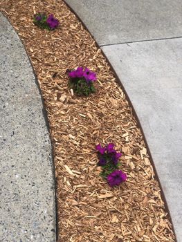 Mulch Landscape Installation — Mableton, GA — Pine Straw Depot Mulch Landscape Installation — Mableton, GA — Pine Straw Depot