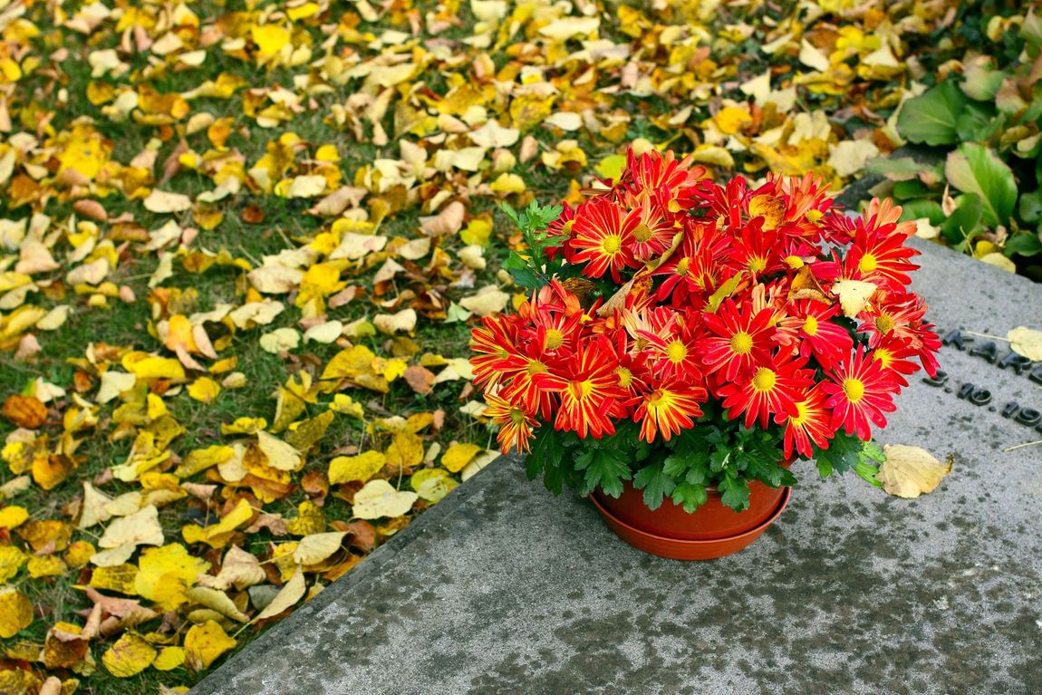 Vaso di fiori freschi per lapidi
