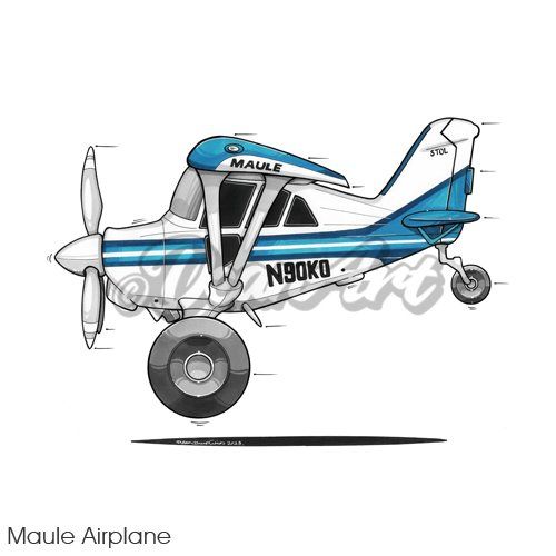 caricature cartoon maule airplane