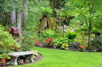Lawn Care — Landscape Installations in Palm Harbor, FL Lawn Care — Landscape Installations in Palm Harbor, FL