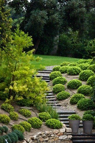Landscape Installation — Garden with stairs in Palm Harbor, FL Landscape Installation — Garden with stairs in Palm Harbor, FL
